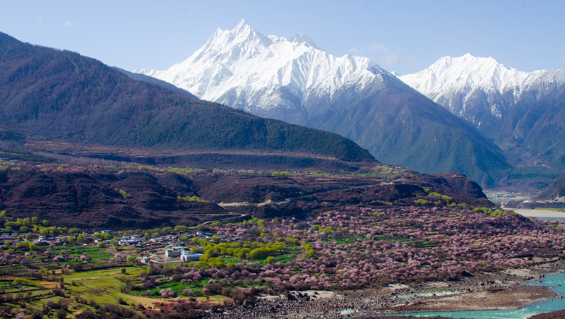 西藏的春天---从桃花开始(图2)